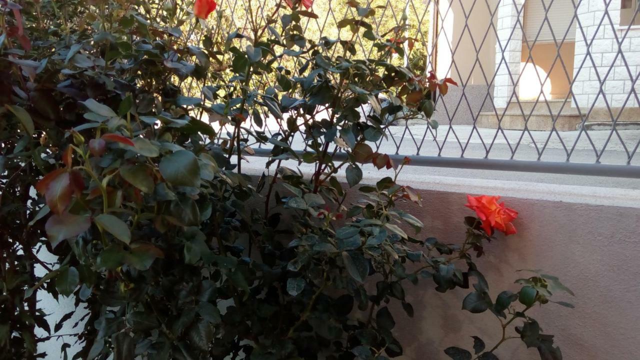 Apartment Sunce Подстрана Екстериор снимка